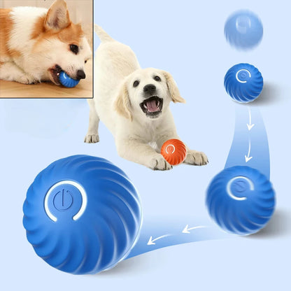 Automatic Bouncing Rolling USB Dog Toy Ball