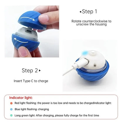 Automatic Bouncing Rolling USB Dog Toy Ball