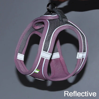 Liminchi Air Dog Harness