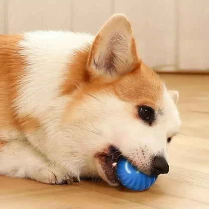 Automatic Bouncing Rolling USB Dog Toy Ball