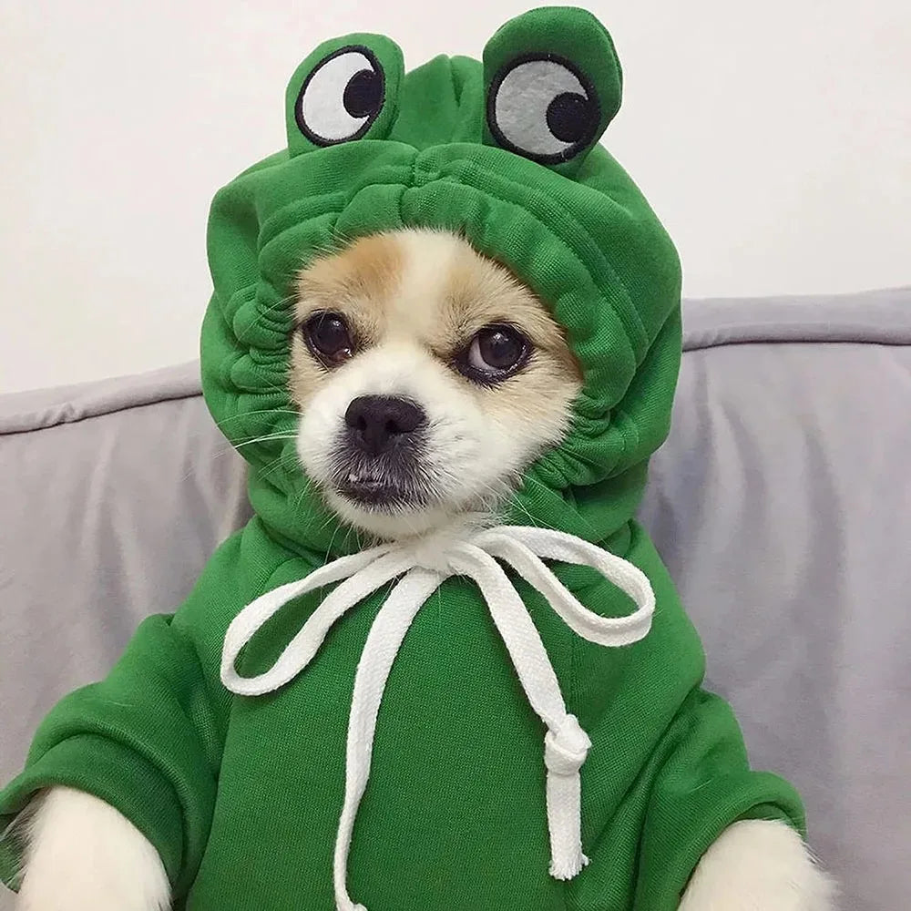 Puppy Hoodie for Dogs