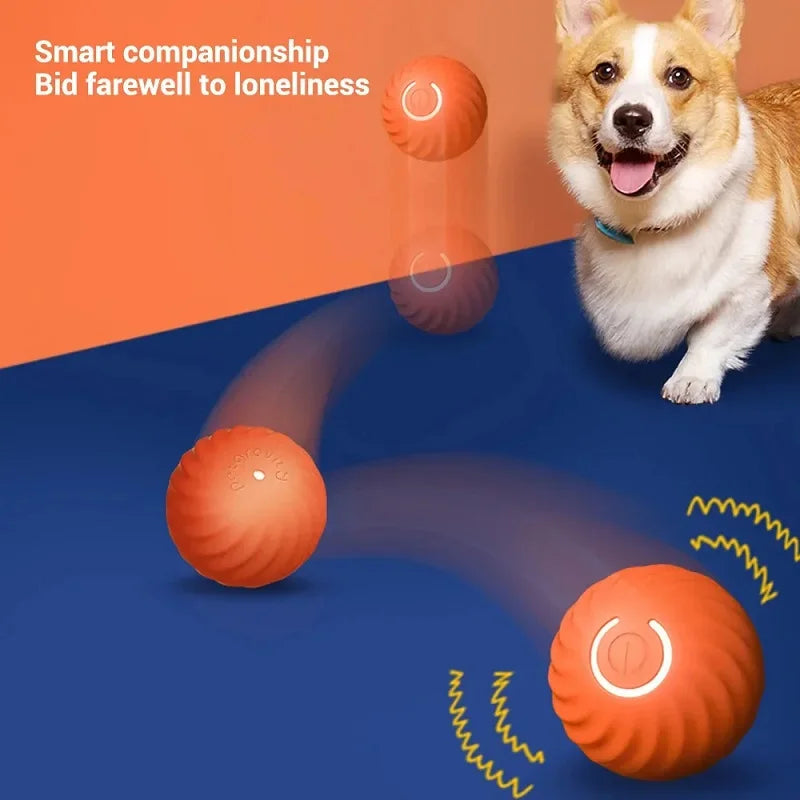 Automatic Bouncing Rolling USB Dog Toy Ball