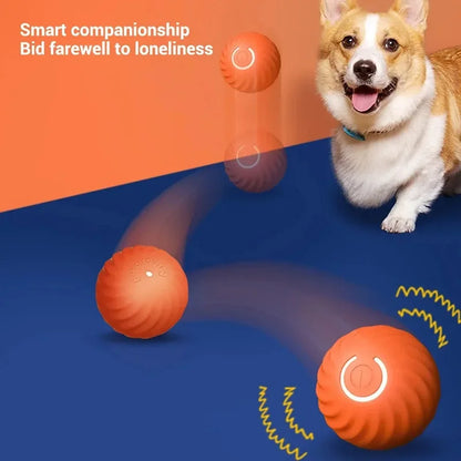 Automatic Bouncing Rolling USB Dog Toy Ball