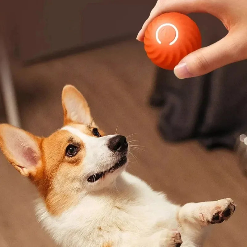 Automatic Bouncing Rolling USB Dog Toy Ball