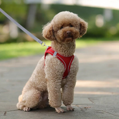 Liminchi Air Dog Harness